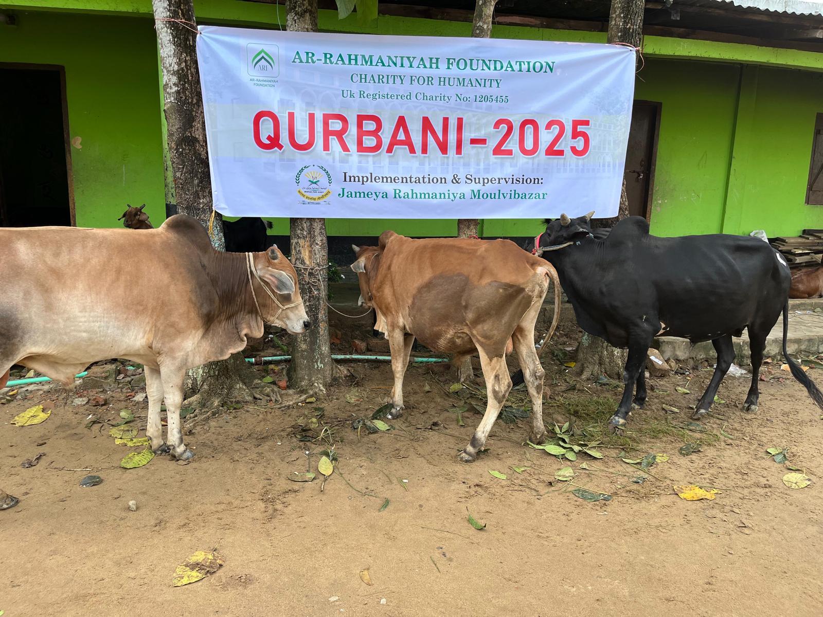 Qurbani Distribution